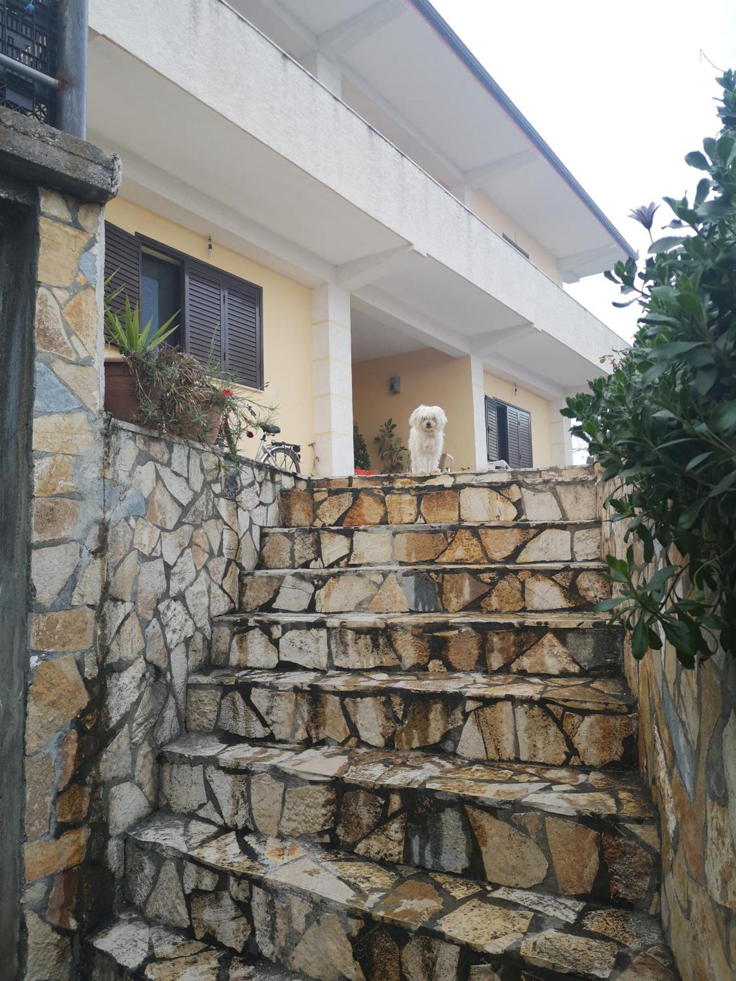 Private House Durres Villa Rom bilde
